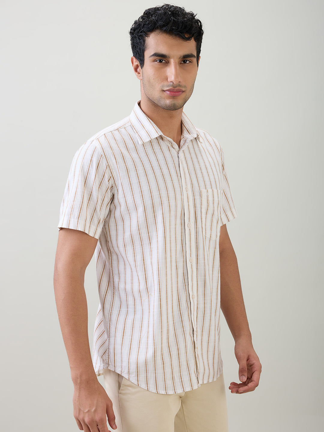 Colorplus Men Brown Stripe Regular Fit Cotton Half Sleeve Casual Shirt