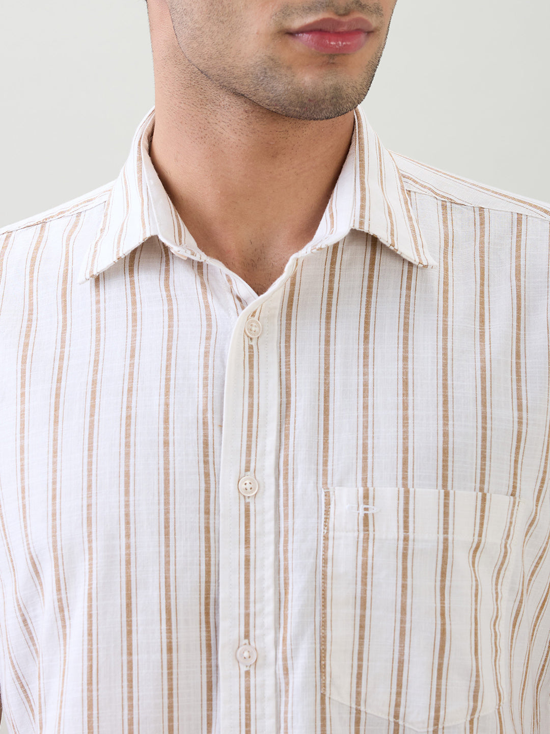 Colorplus Men Brown Stripe Regular Fit Cotton Half Sleeve Casual Shirt