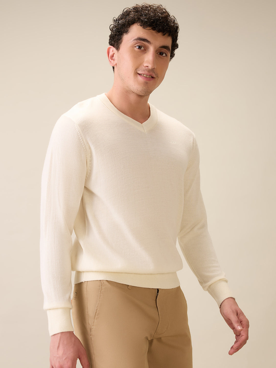 Colorplus Men White Solid Regular Fit Wool Blend Full Sleeve V Neck Collar Sweater