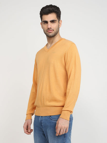 Colorplus Men Yellow Solid Regular Fit Wool Blend Full Sleeve V Neck Collar Sweater