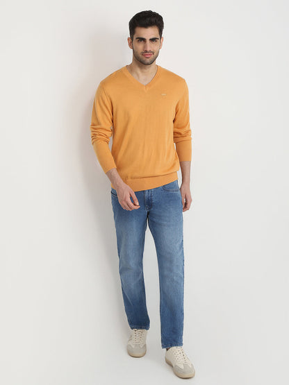 Colorplus Men Yellow Solid Regular Fit Wool Blend Full Sleeve V Neck Collar Sweater