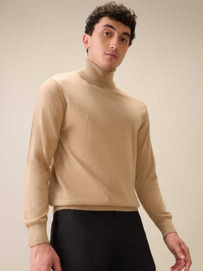 Colorplus Men Brown Solid Regular Fit Wool Blend Full Sleeve V Neck Collar Sweater