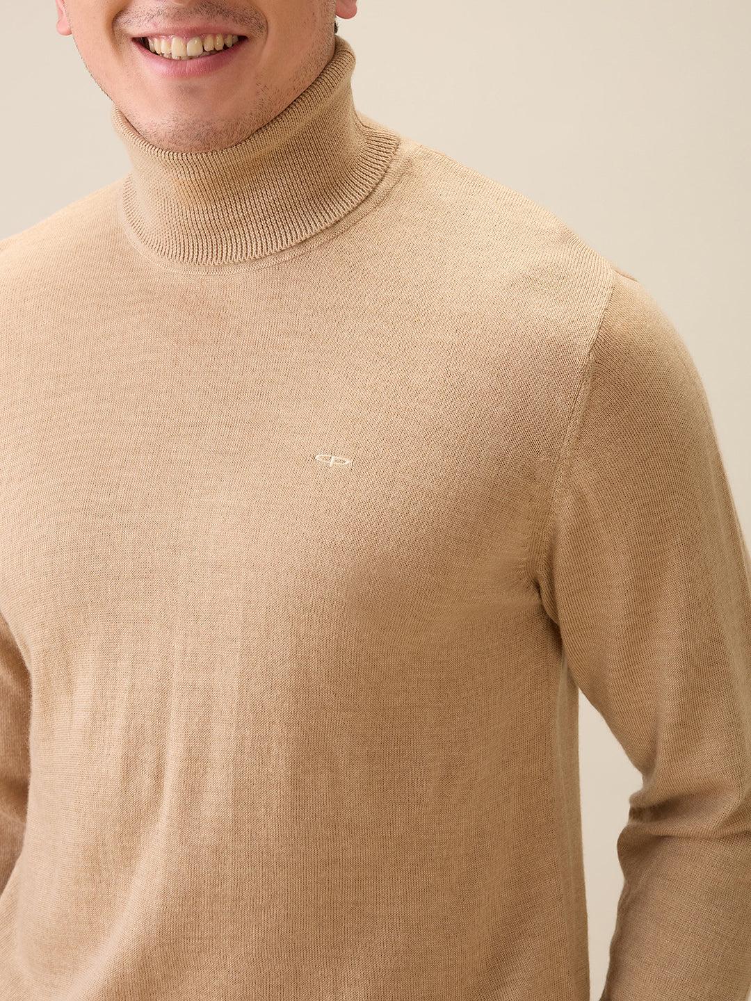 Colorplus Men Brown Solid Regular Fit Wool Blend Full Sleeve V Neck Collar Sweater