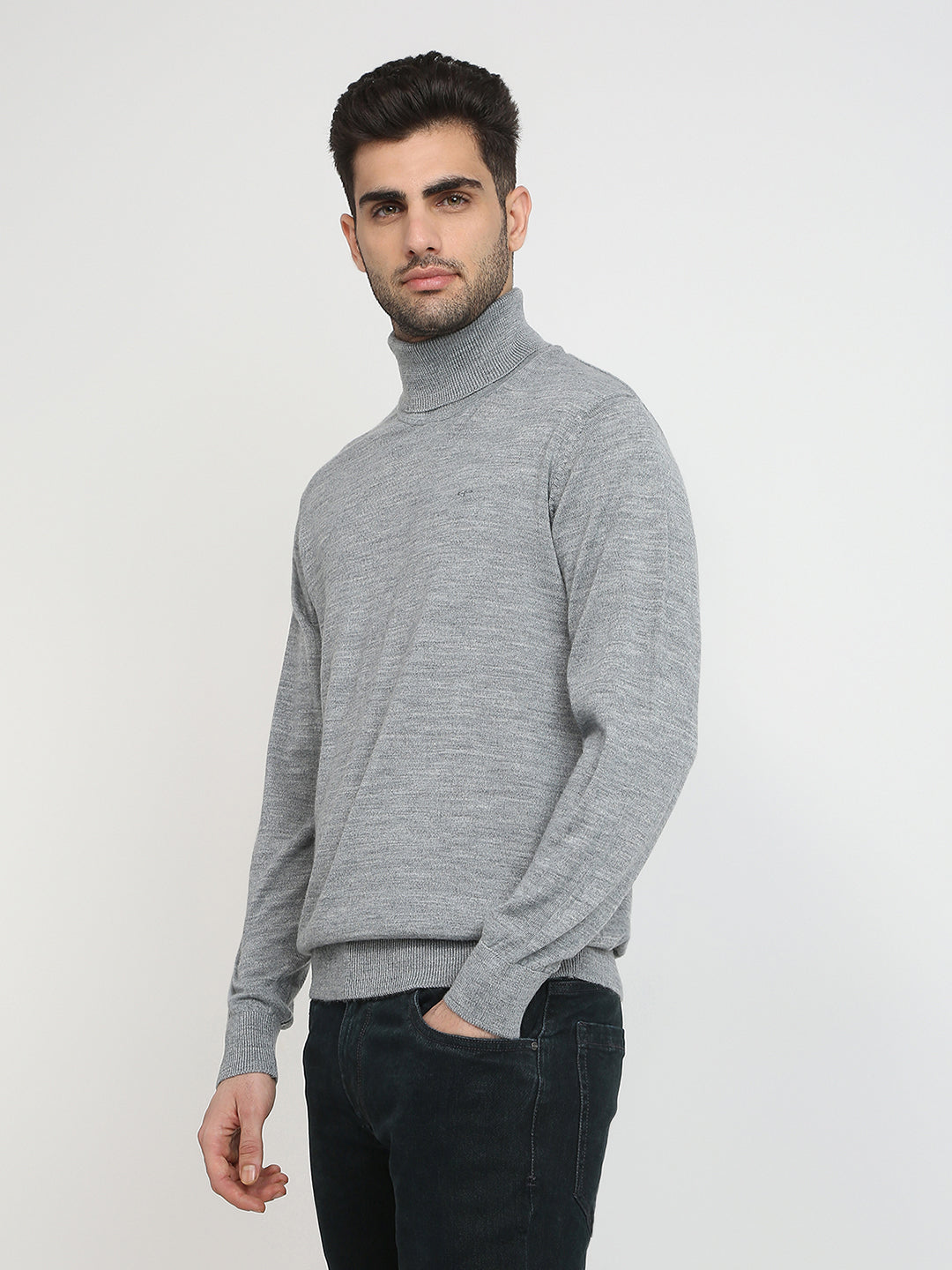 Colorplus Men Grey Solid Regular Fit Wool Blend Full Sleeve V Neck Collar Sweater