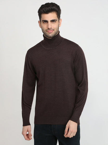 Colorplus Men Brown Solid Regular Fit Wool Blend Full Sleeve V Neck Collar Sweater
