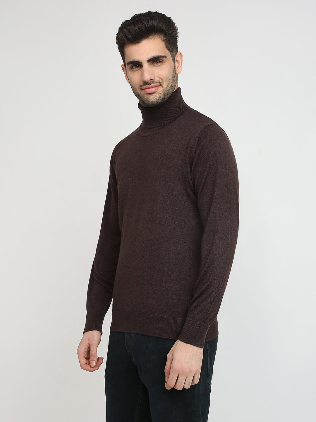 Colorplus Men Brown Solid Regular Fit Wool Blend Full Sleeve V Neck Collar Sweater