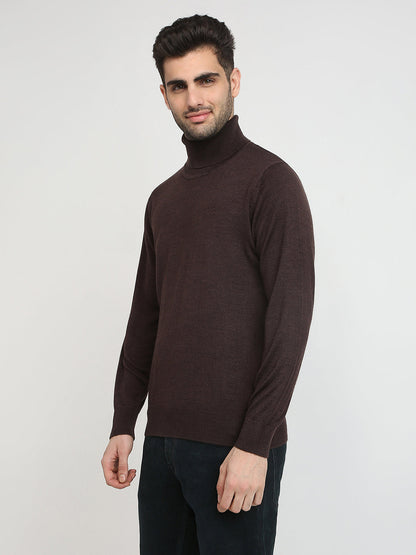 Colorplus Men Brown Solid Regular Fit Wool Blend Full Sleeve V Neck Collar Sweater