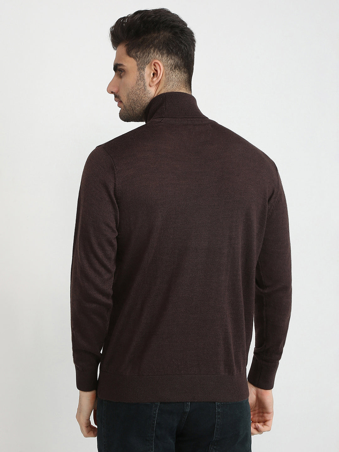 Colorplus Men Brown Solid Regular Fit Wool Blend Full Sleeve V Neck Collar Sweater