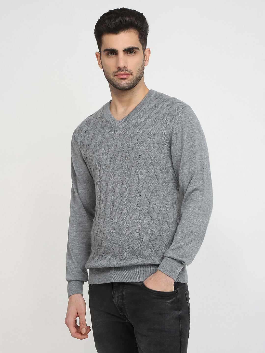 Colorplus Men Grey Solid Regular Fit Wool Blend Full Sleeve V Neck Collar Sweater