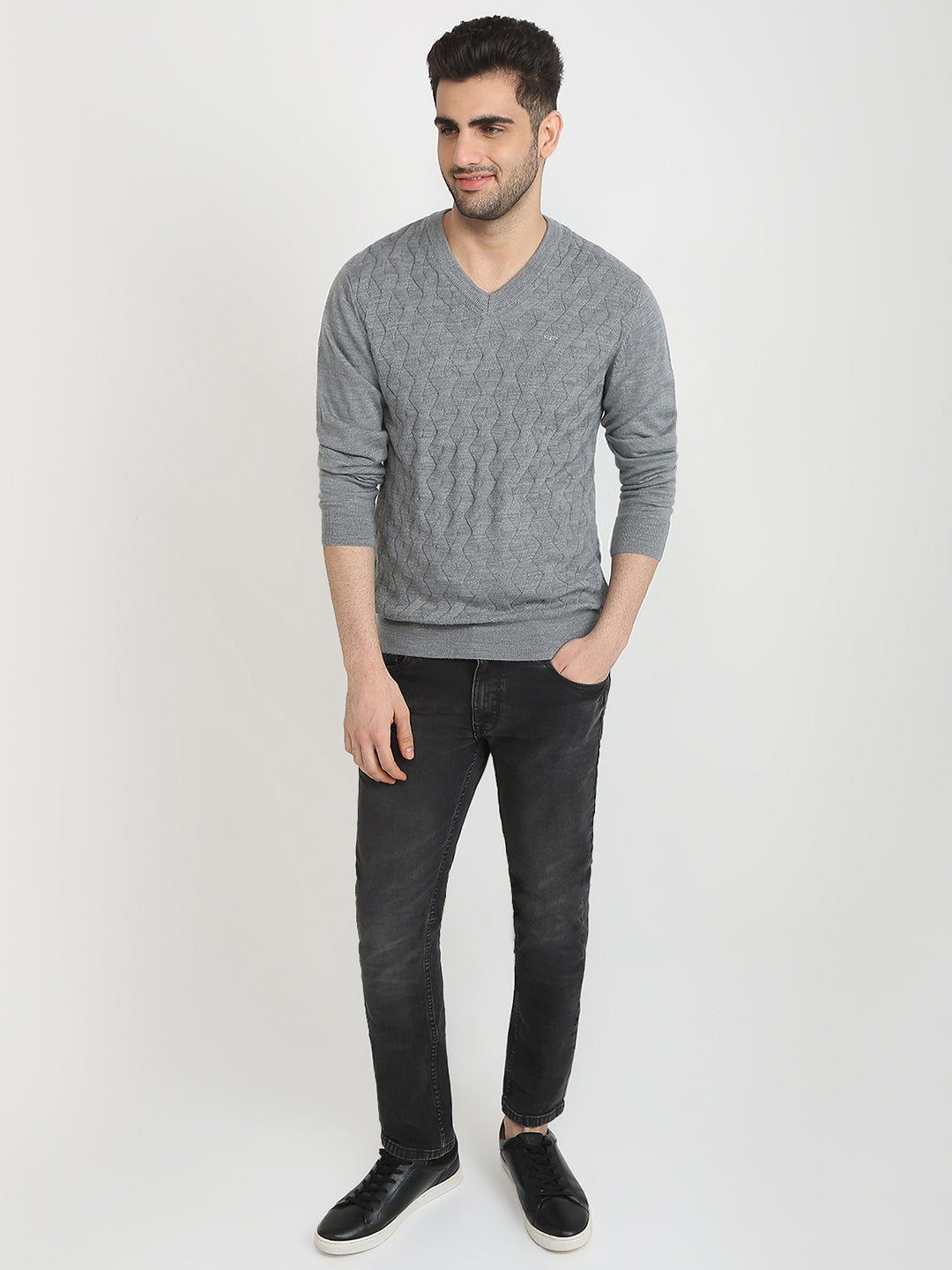 Colorplus Men Grey Solid Regular Fit Wool Blend Full Sleeve V Neck Collar Sweater