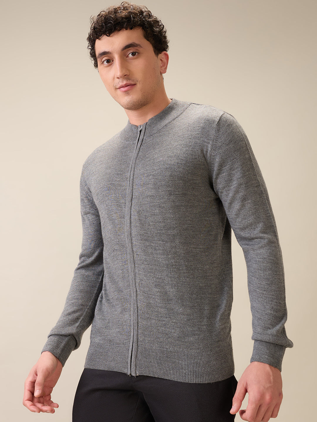 Colorplus Men Grey Solid Regular Fit Acro Blend Full Sleeve V Neck Collar Sweater