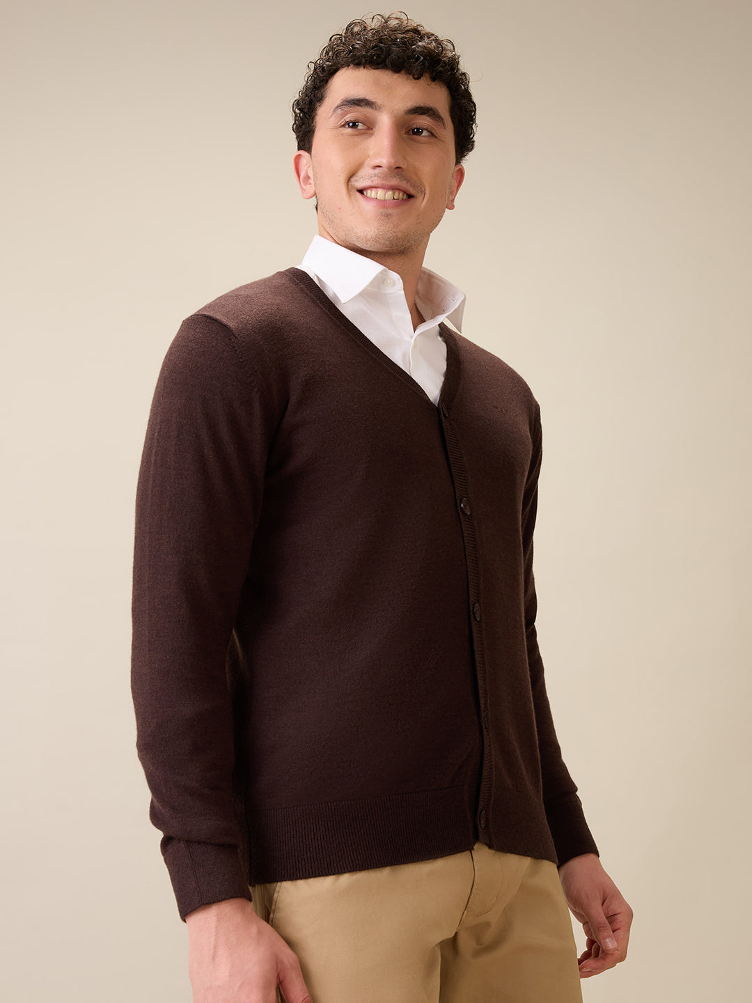 Colorplus Men Brown Plain Regular Fit Wool Blend Full Sleeve V Neck Collar Sweater