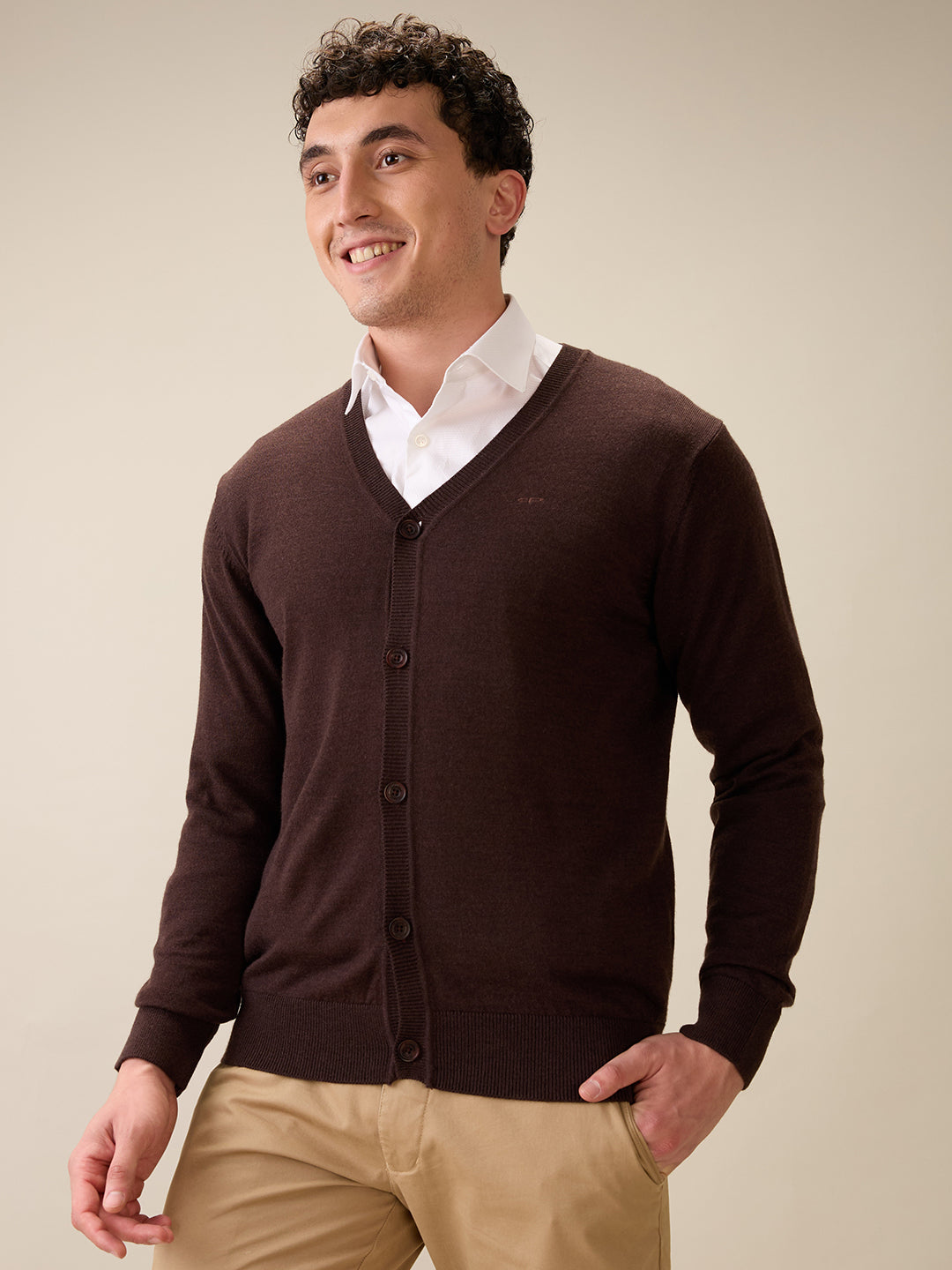 Colorplus Men Brown Plain Regular Fit Wool Blend Full Sleeve V Neck Collar Sweater