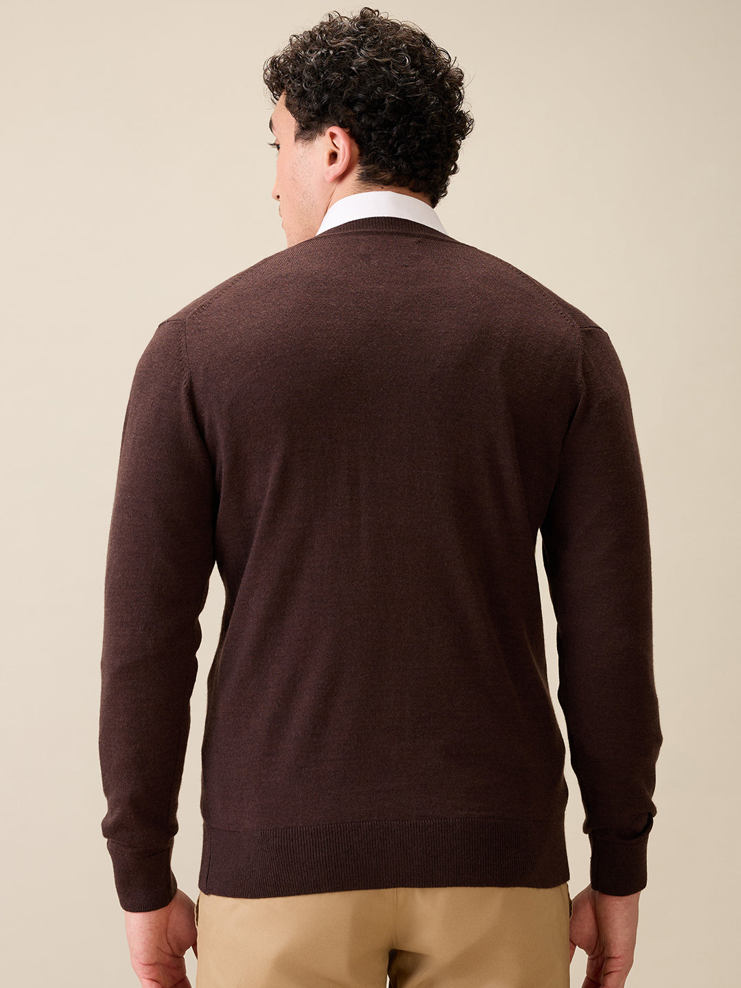 Colorplus Men Brown Plain Regular Fit Wool Blend Full Sleeve V Neck Collar Sweater