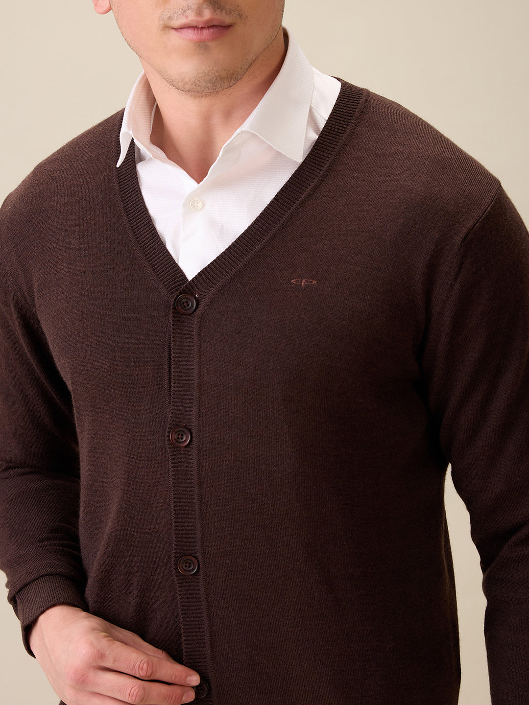 Colorplus Men Brown Plain Regular Fit Wool Blend Full Sleeve V Neck Collar Sweater