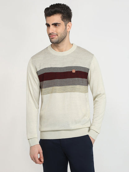 Colorplus Men Brown Jacquard Regular Fit Acrylic Full Sleeve V Neck Collar Sweater