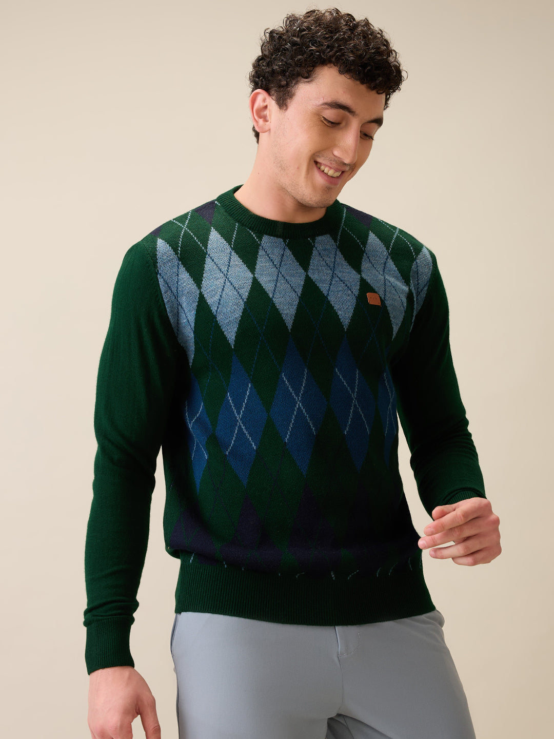 Colorplus Men Green Jacquard Regular Fit Acrylic Full Sleeve V Neck Collar Sweater