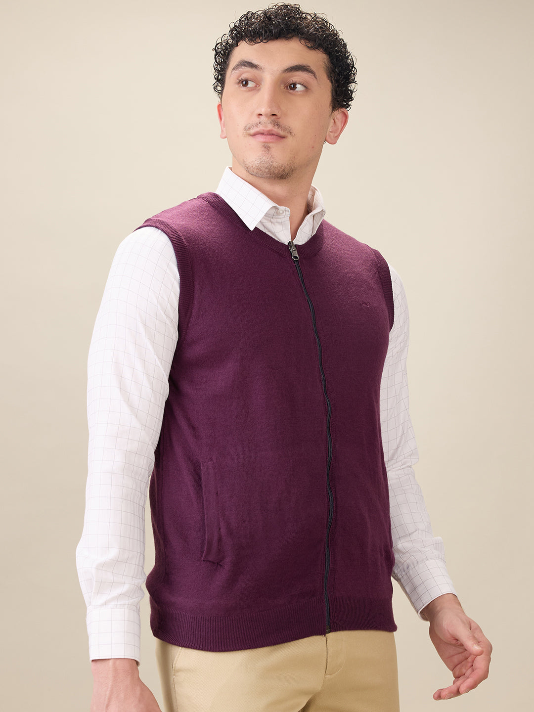 Colorplus Men Maroon Solid Regular Fit Acro Blend Sleeveless V Neck Collar Sweater