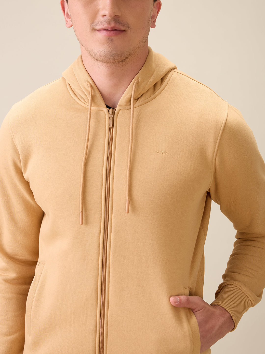 Colorplus Men Brown Solid Regular Fit Cotton Blend Full Sleeve Sweatshirt