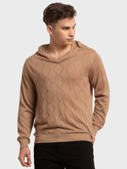 Men Brown Tailored Fit Structure Acrylic Merino Blend Full Sleeve V Neck Collar Sweaters