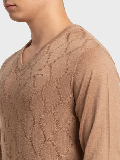 Men Brown Tailored Fit Structure Acrylic Merino Blend Full Sleeve V Neck Collar Sweaters