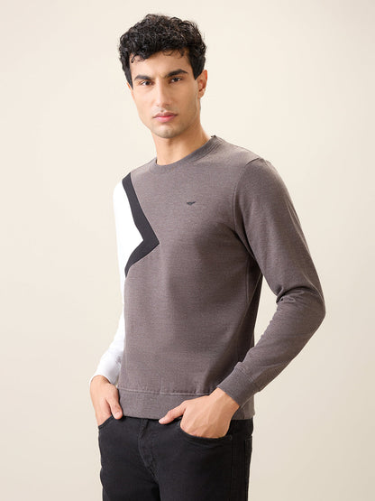 Park Avenue Men Black Cut & Sew Slim Fit Cotton Blend Crew Neck Collar Sweatshirt
