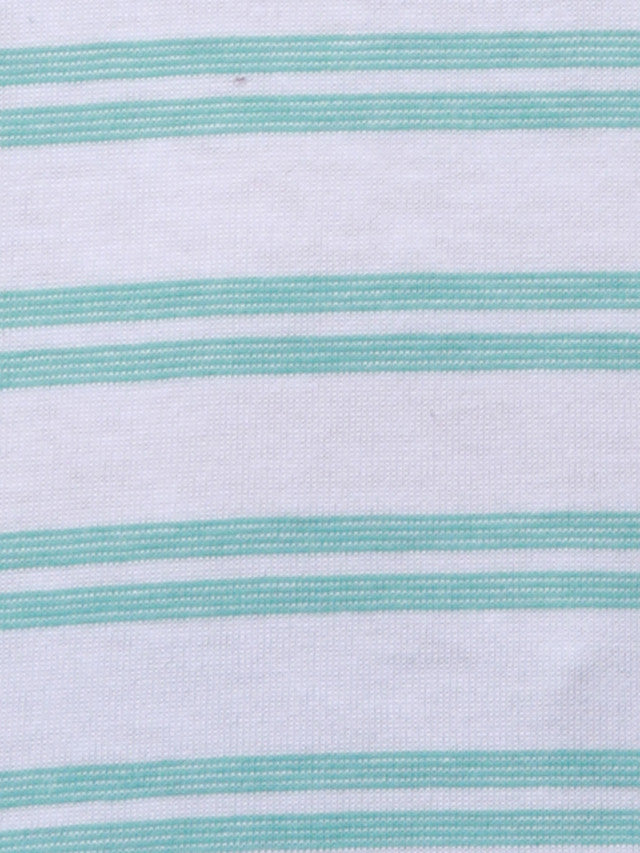 Park Avenue Blue Stripe Slim Fit Half Sleeve Cotton Blend T-Shirt