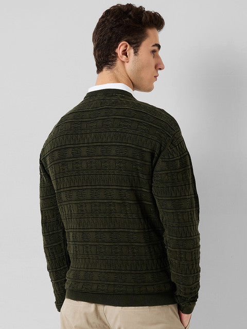 Park Avenue Men Green Solid Regular Cotton Sweater
