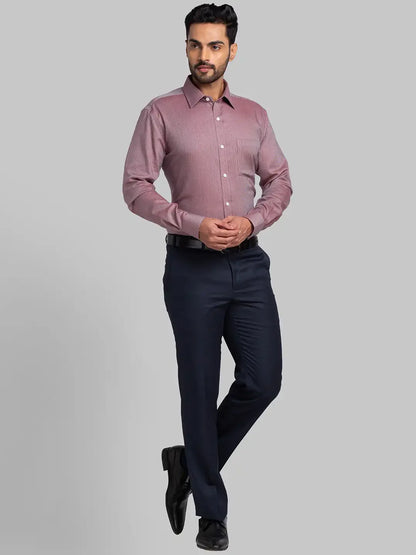 Park Avenue Men Brown Regular Fit Structure Cotton Formal Shirt