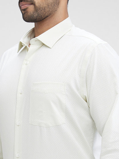 Park Avenue Green Structure Regular Fit Cotton Formal Shirt