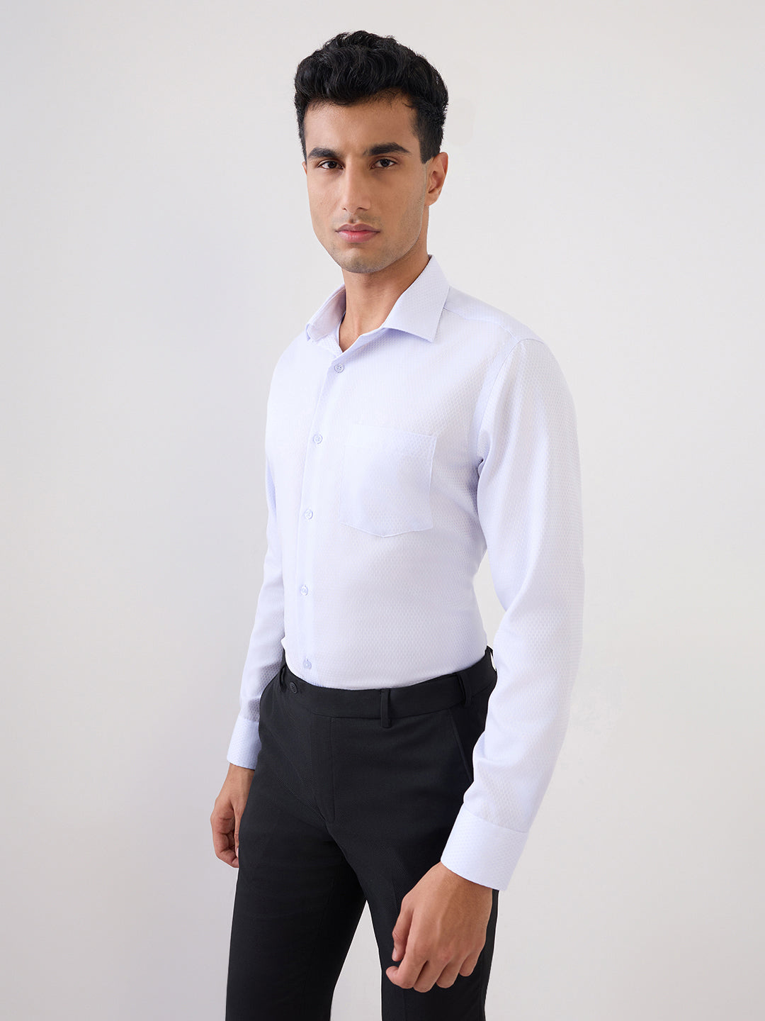 Park Avenue Men Purple Structure Regular Fit Cotton Full Sleeve Formal Shirt