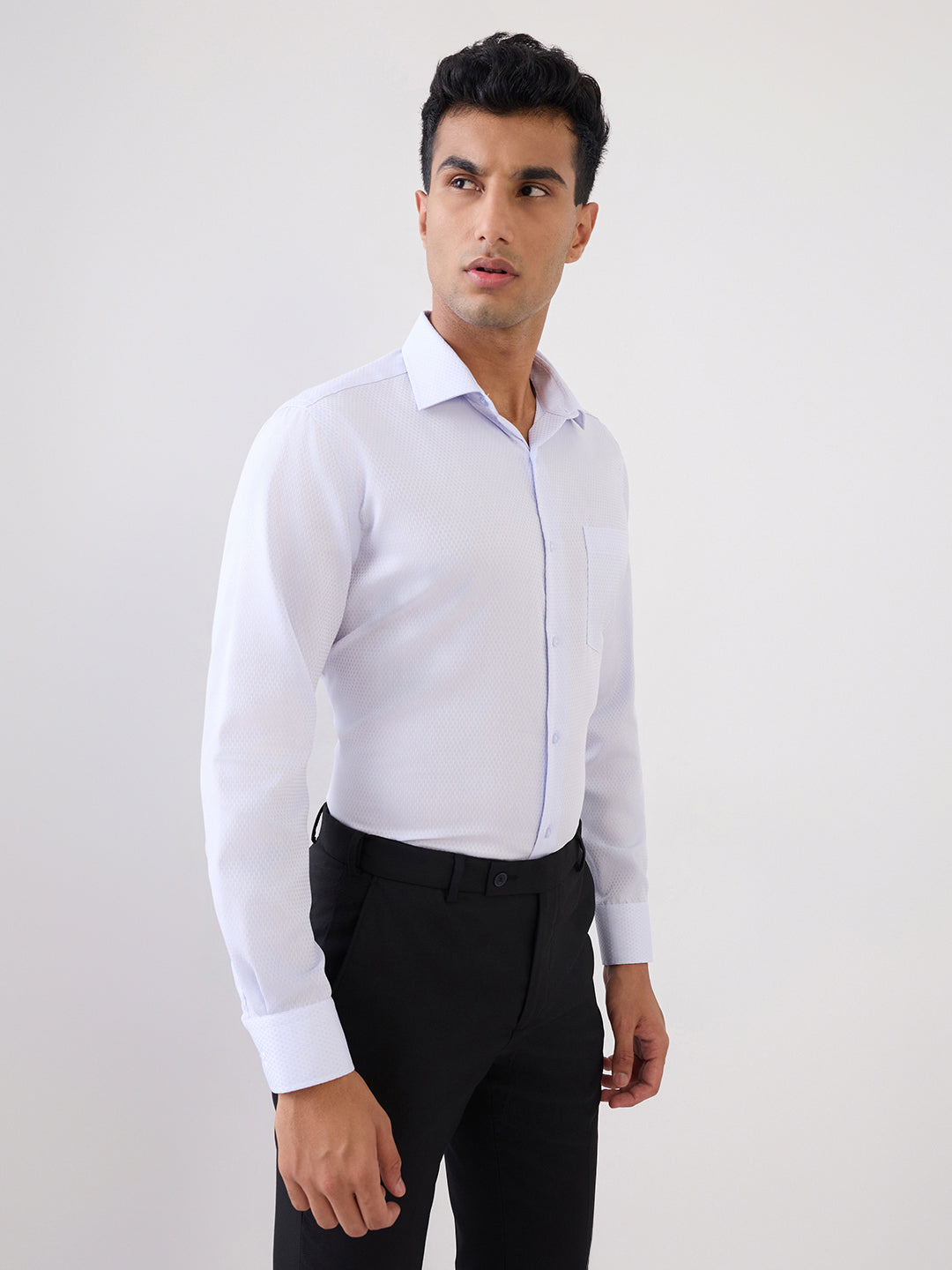 Park Avenue Men Purple Structure Regular Fit Cotton Full Sleeve Formal Shirt