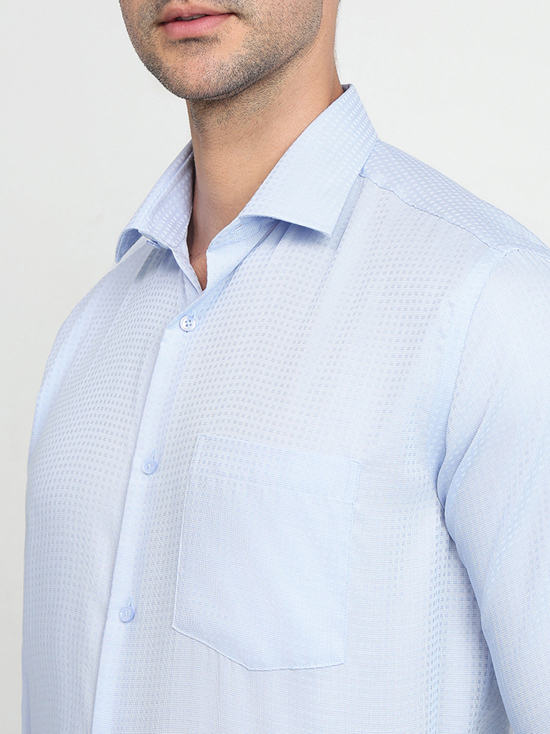 Park Avenue Men Blue Checks Regular Fit Cotton Full Sleeve Ainsley Collar Formal Shirt