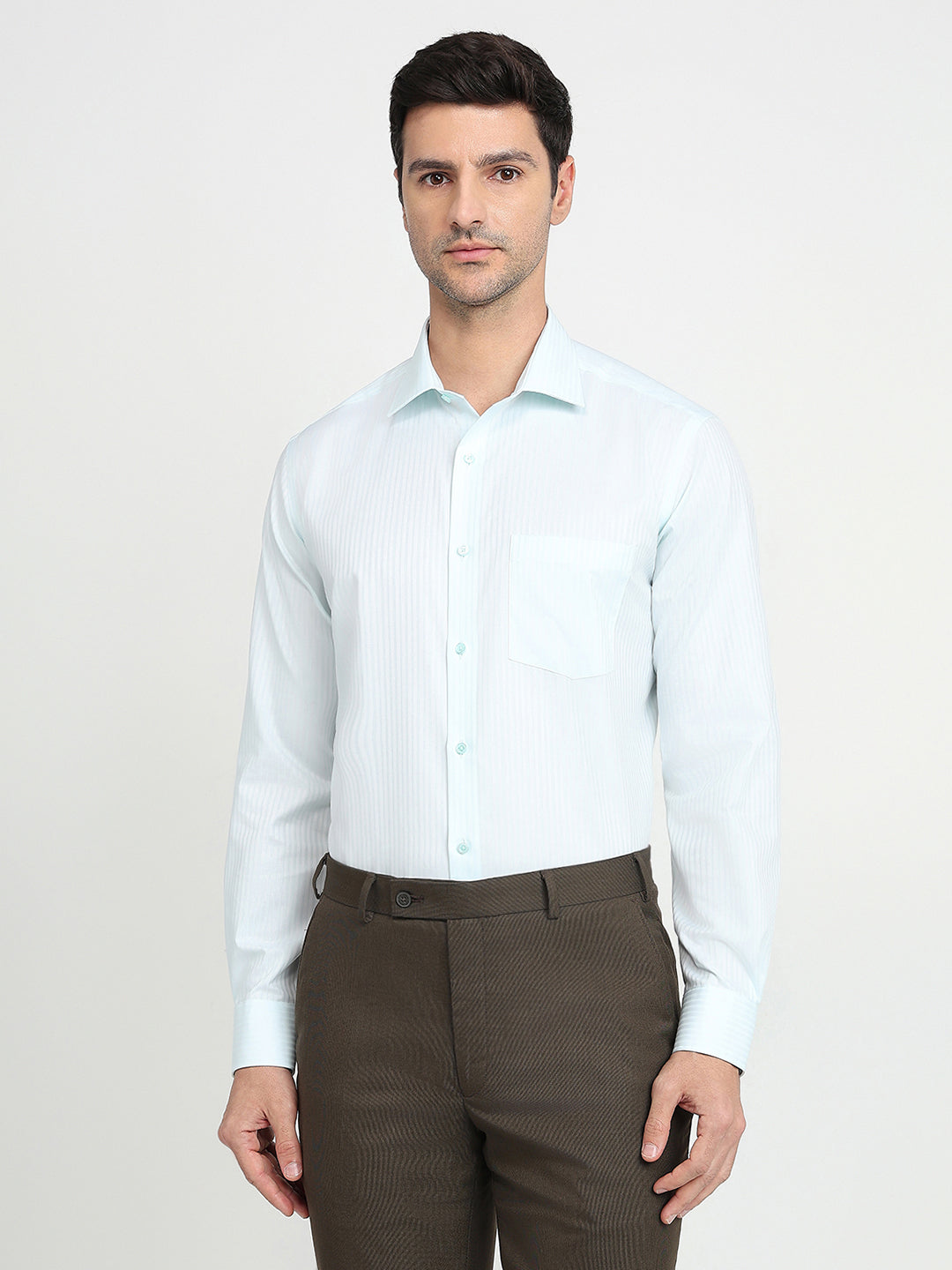 Park Avenue Men Blue Stripe Regular Fit Cotton Full Sleeve Ainsley Collar Formal Shirt