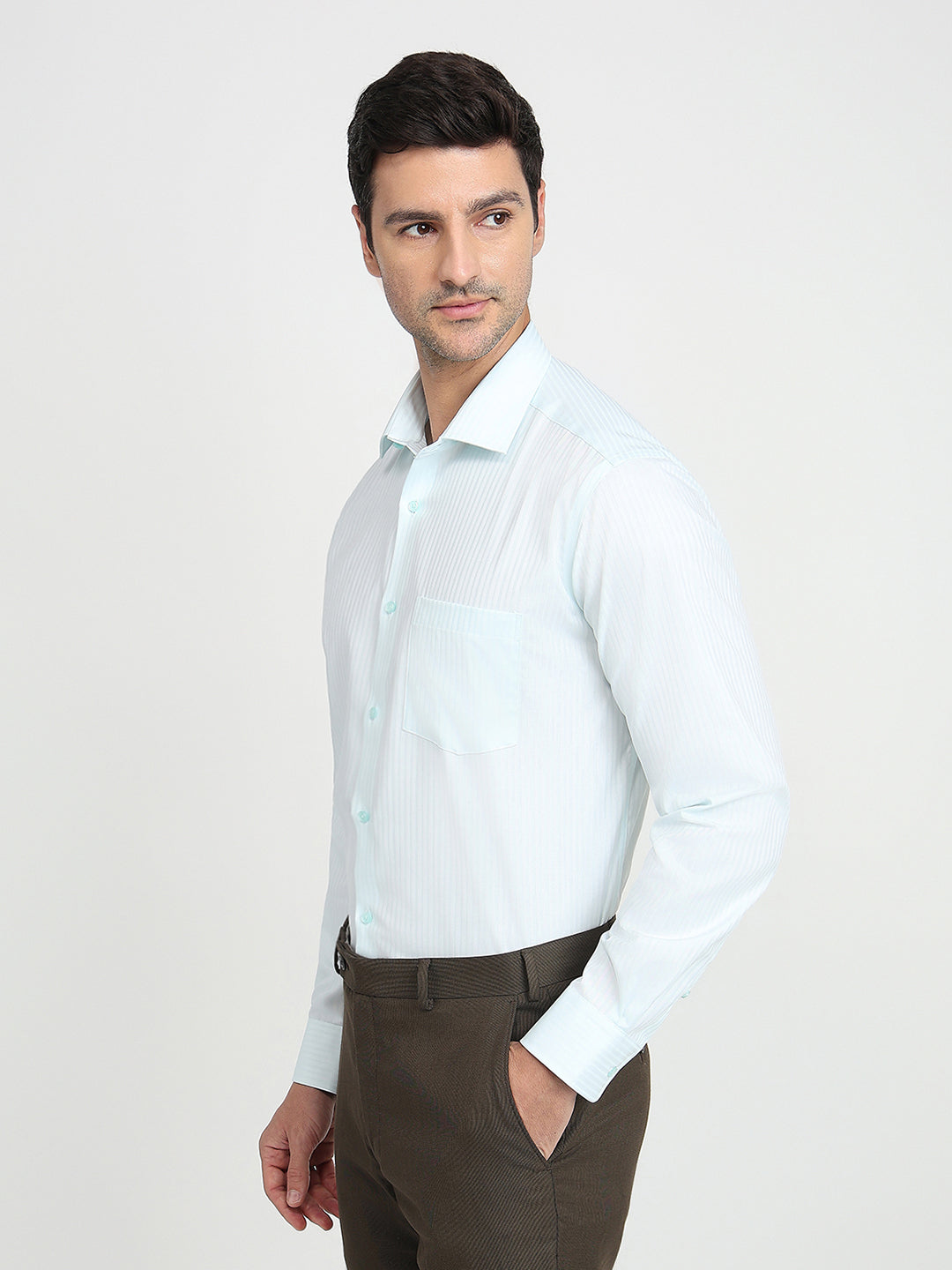 Park Avenue Men Blue Stripe Regular Fit Cotton Full Sleeve Ainsley Collar Formal Shirt