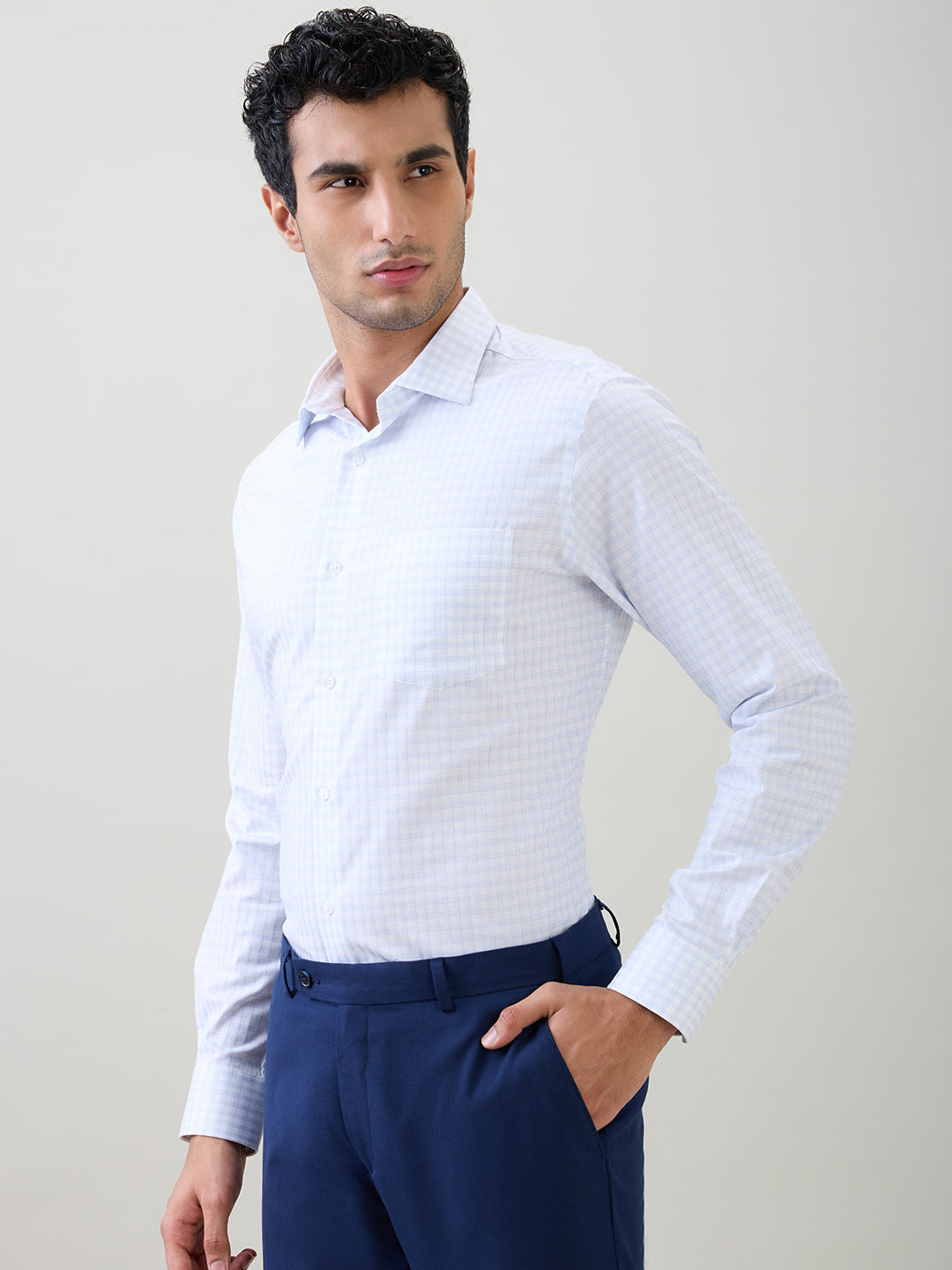 Park Avenue Men Blue Checks Regular Fit Cotton Full Sleeve Formal Shirt