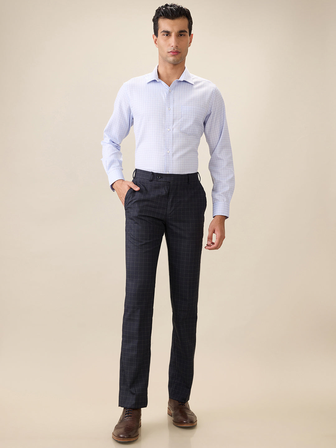 Park Avenue Men Blue Checks Regular Fit Cotton Blend Full Sleeve Ainsley Collar Formal Shirt