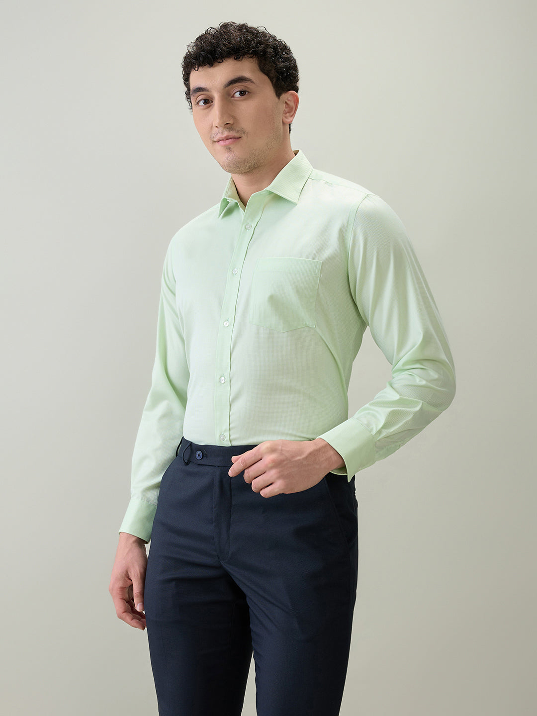 Park Avenue Men Green Structure Regular Fit Cotton Blend Formal Shirt