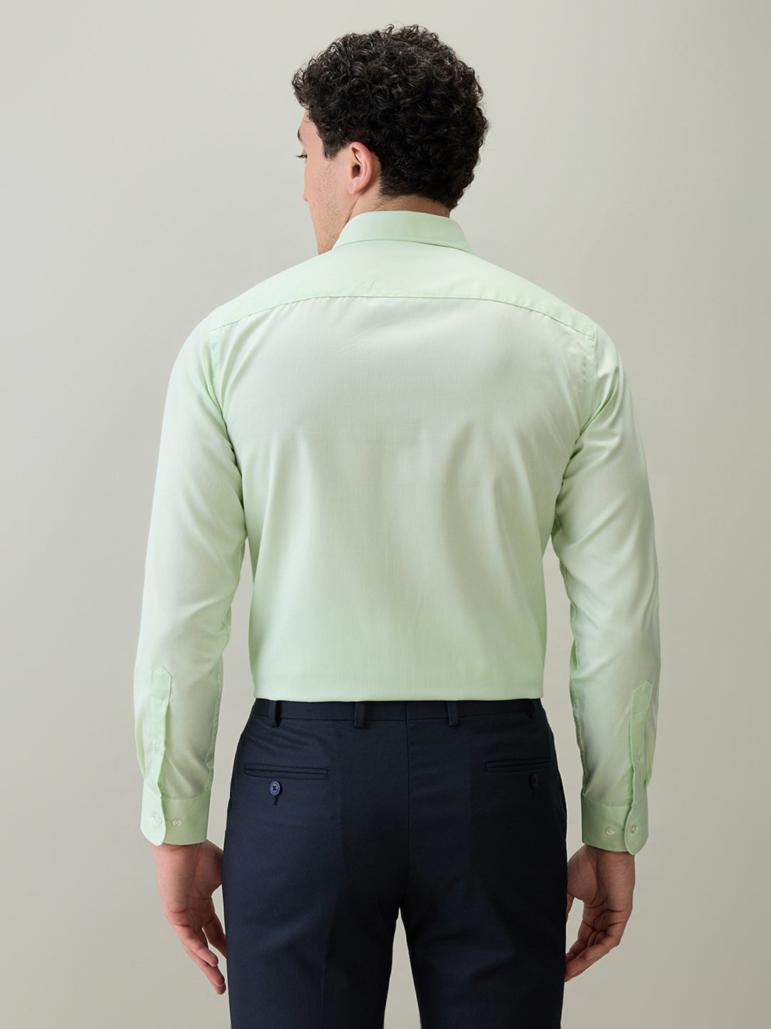 Park Avenue Men Green Structure Regular Fit Cotton Blend Formal Shirt