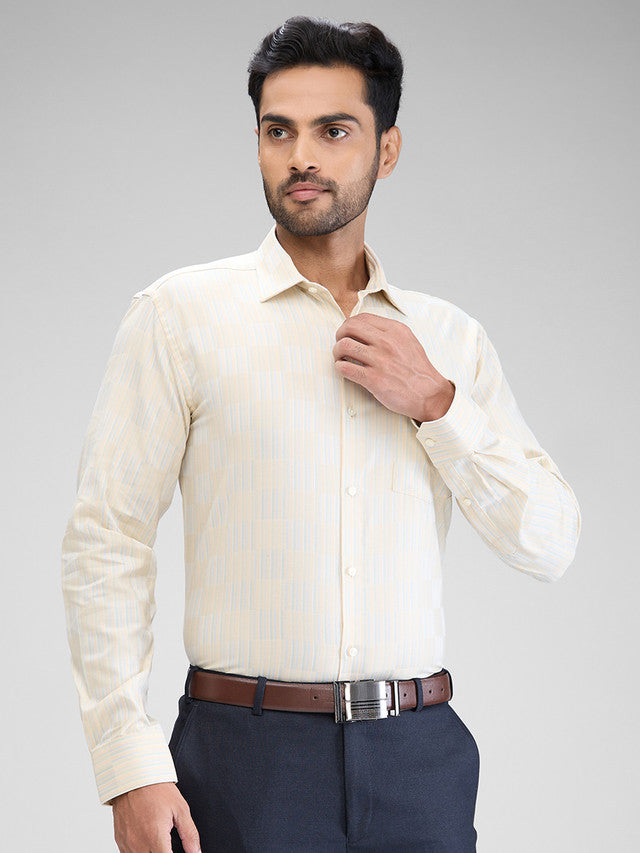 Park Avenue Men Brown Striped Slim Fit Cotton Formal Shirt