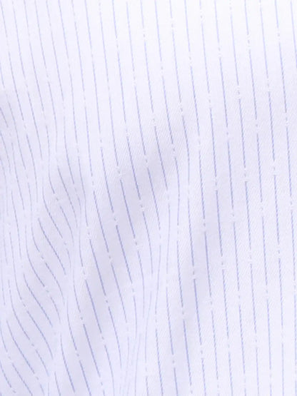 Park Avenue Men Blue Slim Fit Stripe Cotton Shirts