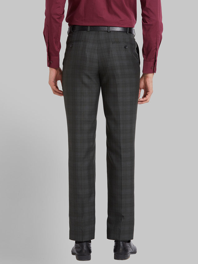 Park Avenue Men Green Checkered Regular Fit Trouser