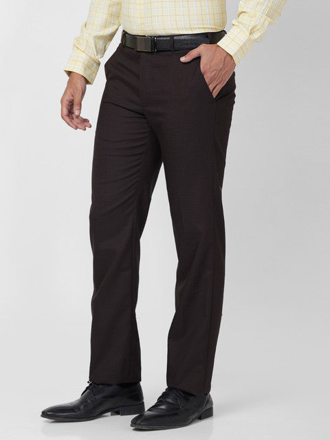 Park Avenue Men Brown Structure Regular Fit Polyester Blend Trouser