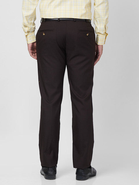 Park Avenue Men Brown Structure Regular Fit Polyester Blend Trouser