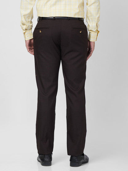 Park Avenue Men Brown Structure Regular Fit Polyester Blend Trouser