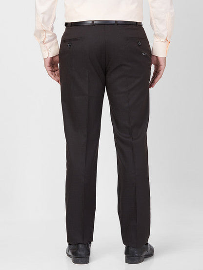 Park Avenue Men Brown Regular Fit Solid Trouser