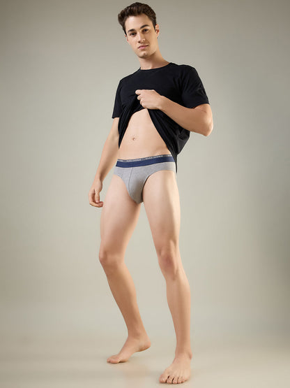 Park Avenue Men Grey Cotton Blend Brief
