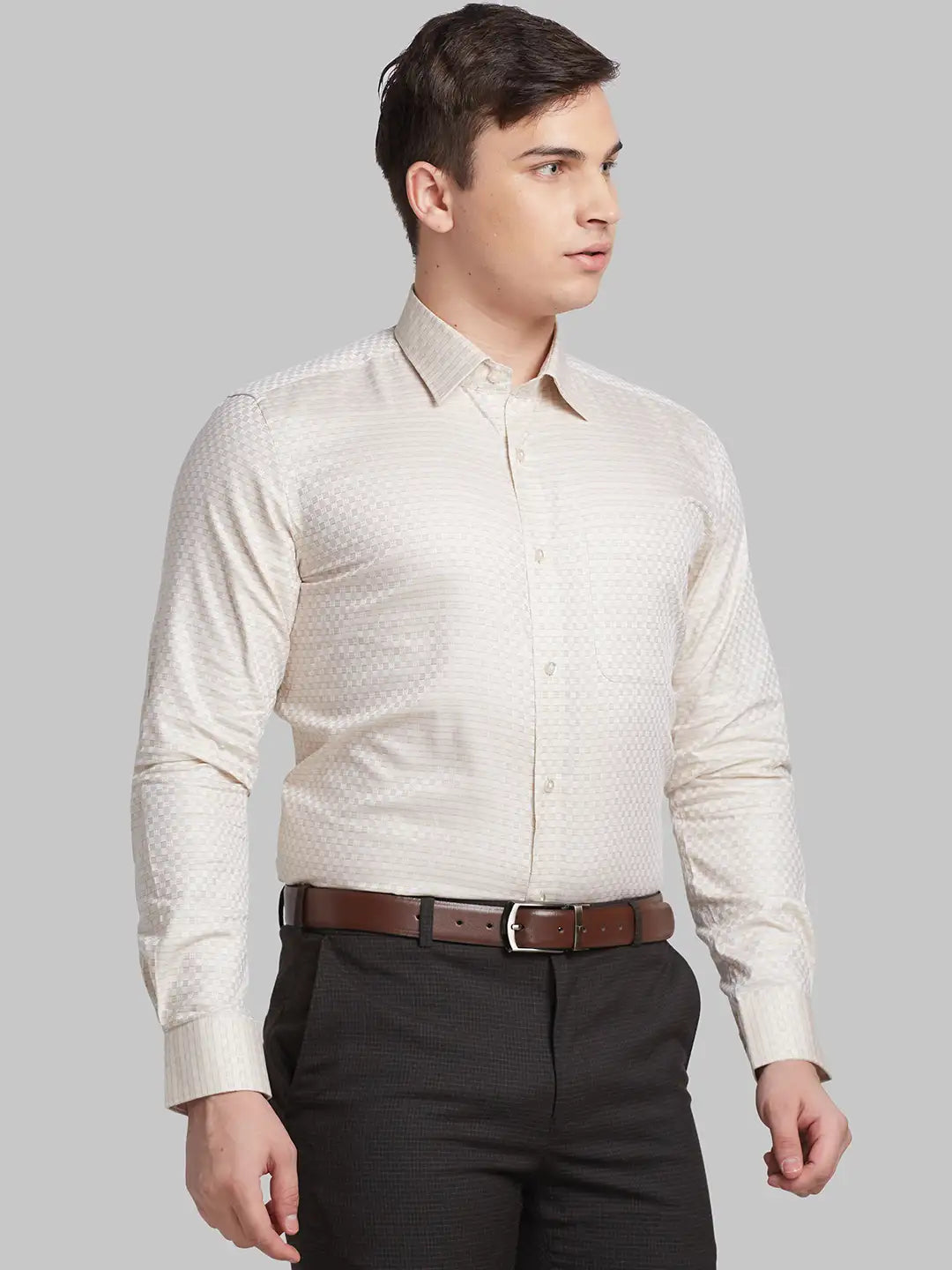 Raymond Men Brown Structured Contemporary Fit Cotton Formal Shirt