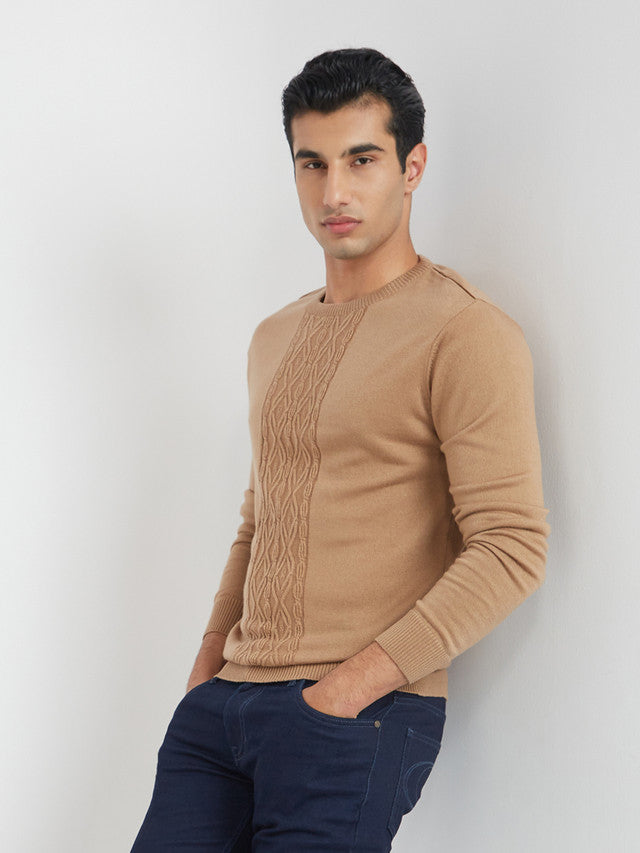 Men Fawn Structure Cable Acrylic Wool Blend Round Collar Sweaters