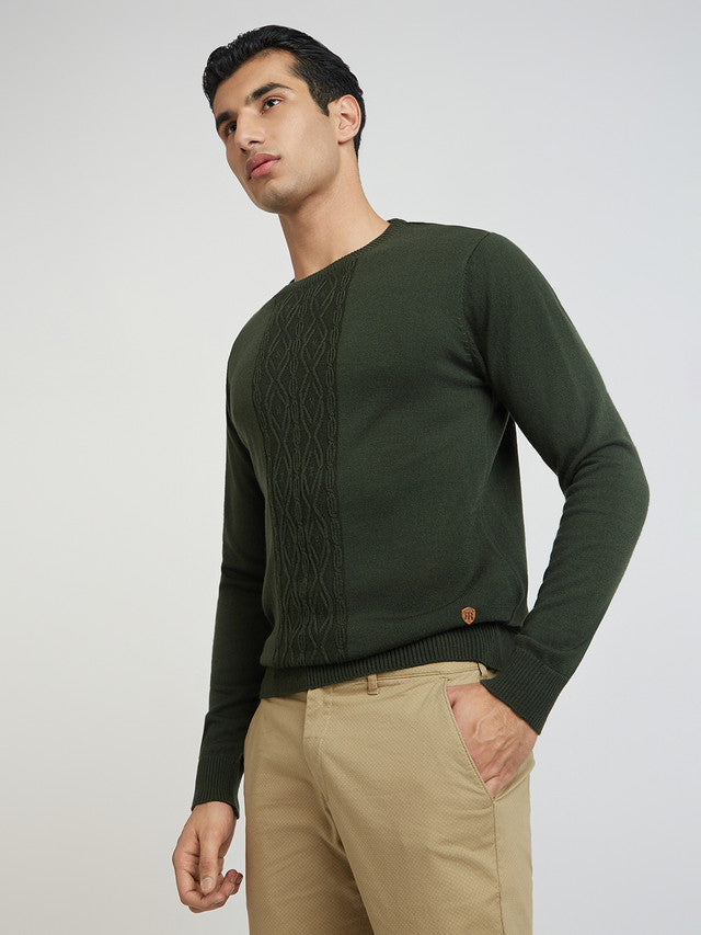 Men Green Structure Cable Acrylic Wool Blend Round Collar Sweaters